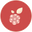 brathun.com favicon